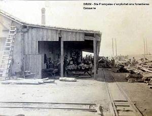ORAN- 03